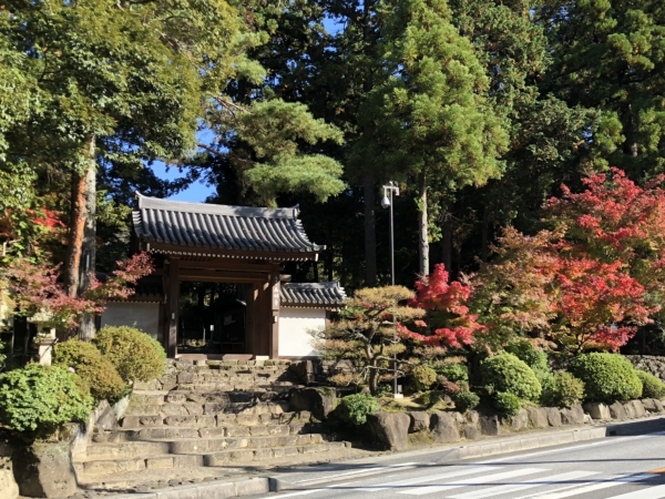 西明寺　紅葉１